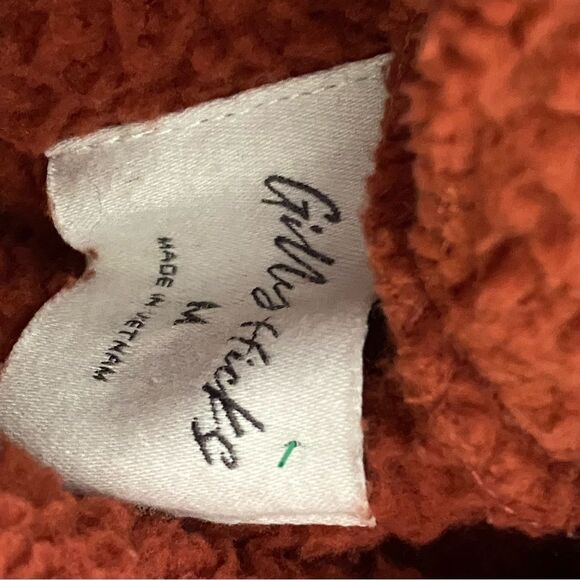 Gilly Hicks Rust Brown Cropped Hoodie - Picture 5 of 8